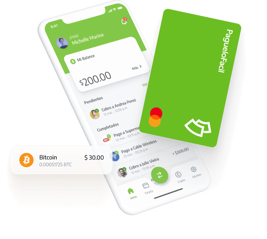 从pay it easy应用程序进行在线支付